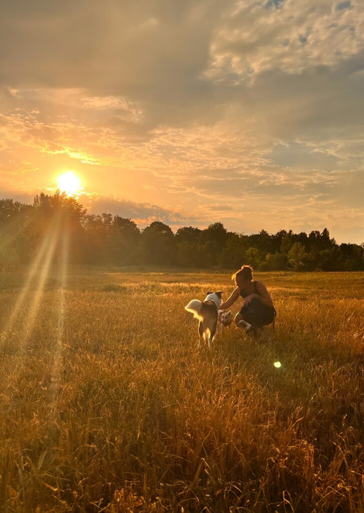 Portraitfotografin bei Haustierfotografie-Shoot im Sonnenuntergang mit drei Hunden